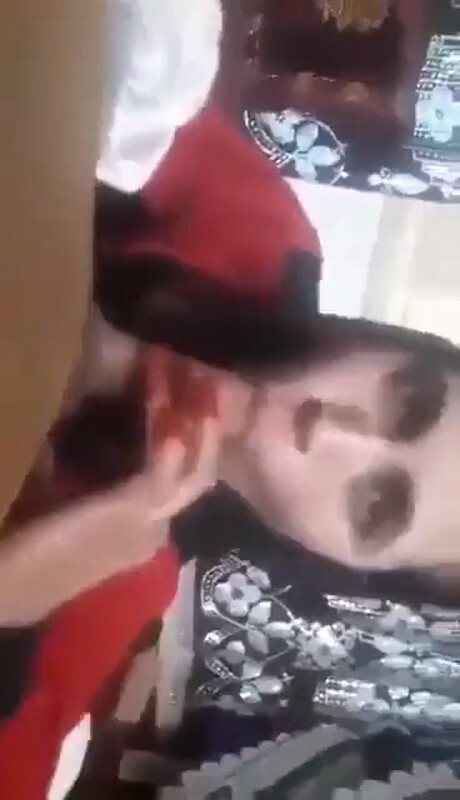 cqjrddc2n2ph.jpg